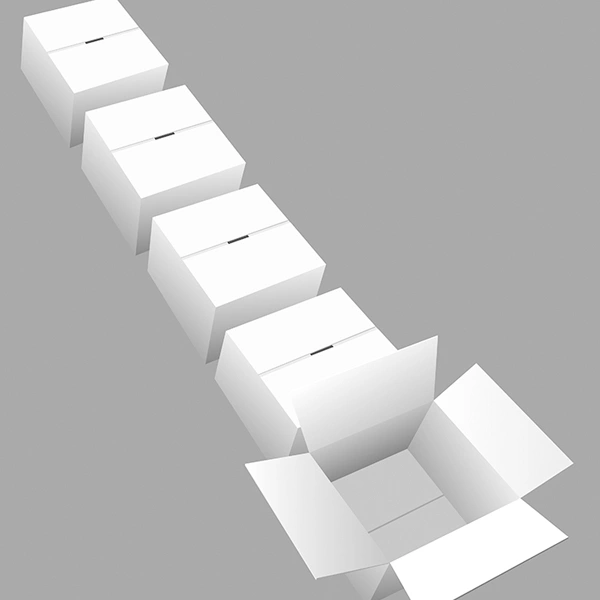 shipping mailer box