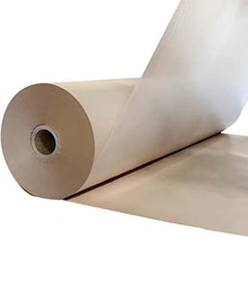 PE coated paper