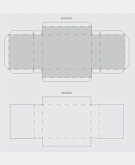 buckle structure