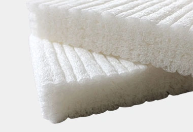 biodegradable foam