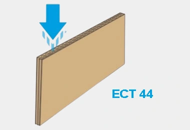 ect 44