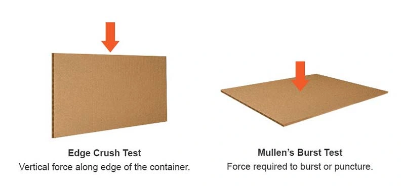 ect and mullen test