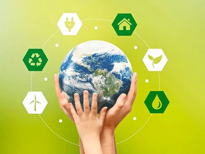 global packaging regulations and standards