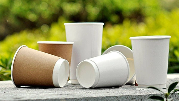 single wall vs double wall paper cup