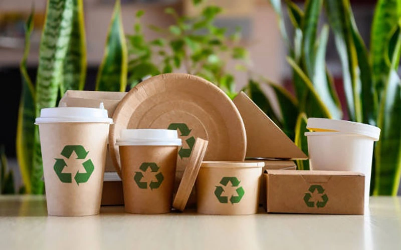 are paper cups eco friendly